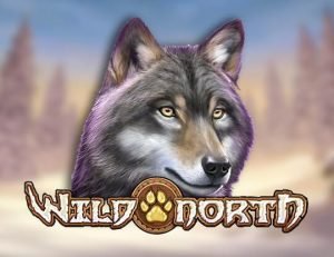 Wild North Spielautomat im MoonWin Kasino